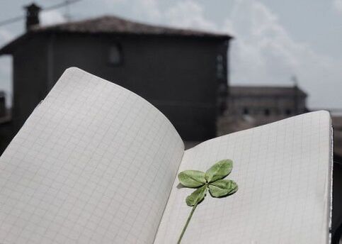 Four-leaf clover - a talisman for good luck