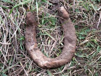 found horseshoe will serve to make a talisman