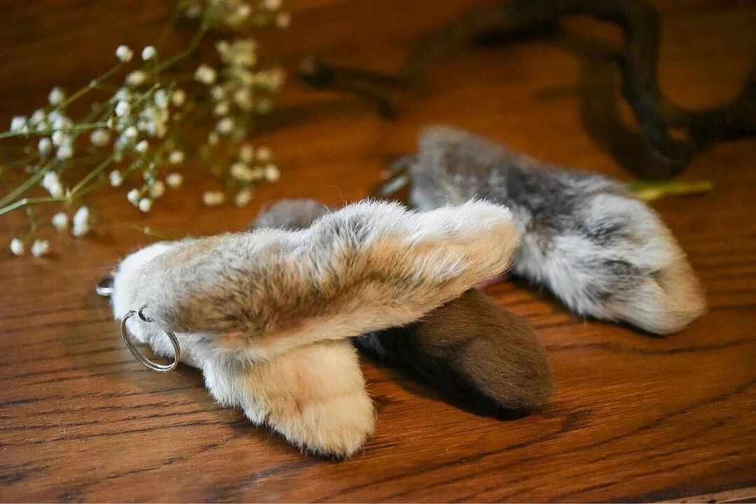rabbit's foot for luck